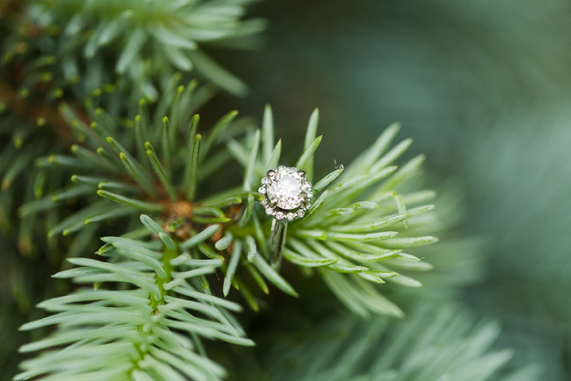 lisa-renault-photographe-mariage-engagement-session-montreal_0008.jpg