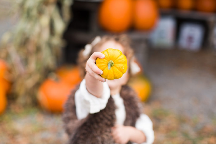 lisarenault-photographe-famille-montreal_0035.jpg