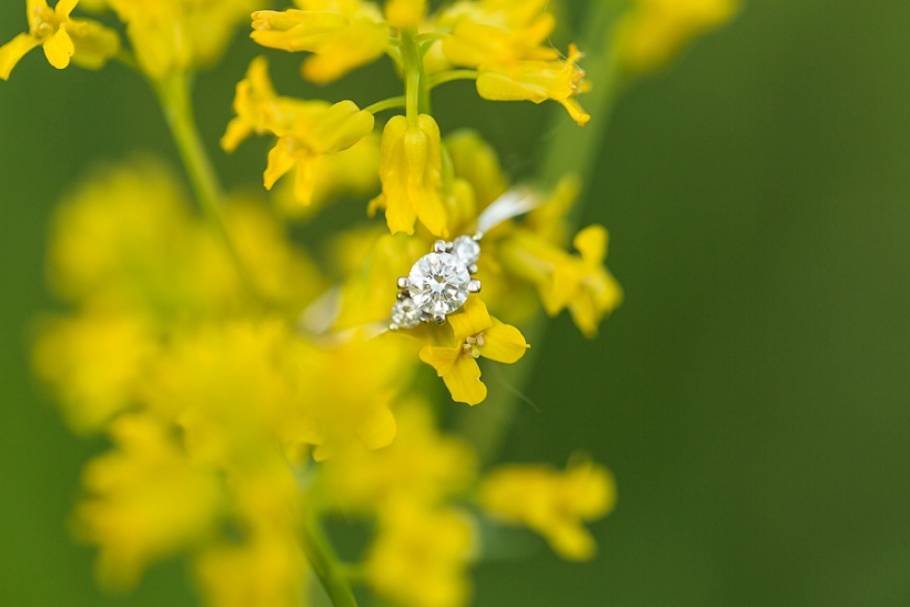 lisarenault-photographe-montreal-seance-engagement-couple-session_0007.jpg