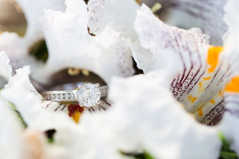 lisa-renault-photographe-montreal-john-abbott-college-engagement-session_0021.jpg