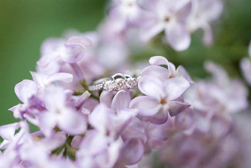 lisa-renault-photographe-montreal-seance-engagement-parc-du-mont-royal_0017.jpg