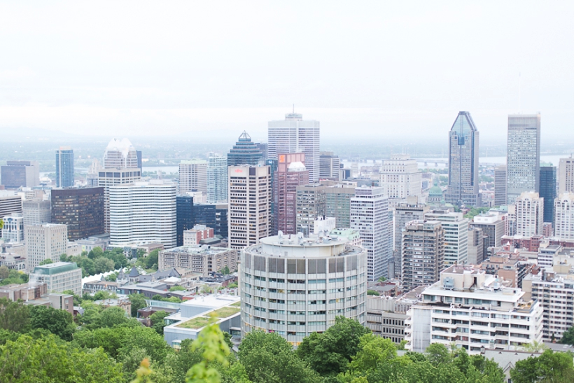 lisa-renault-photographe-montreal-seance-engagement-parc-du-mont-royal_0021.jpg