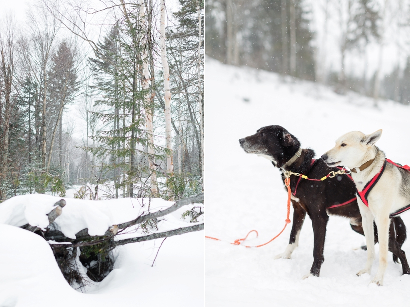 lisa-renault-photographe-montreal-seance-photo-de-couple-d-hiver-laurentides_0014.jpg