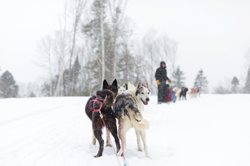 lisa-renault-photographe-montreal-seance-photo-de-couple-d-hiver-laurentides_0016.jpg