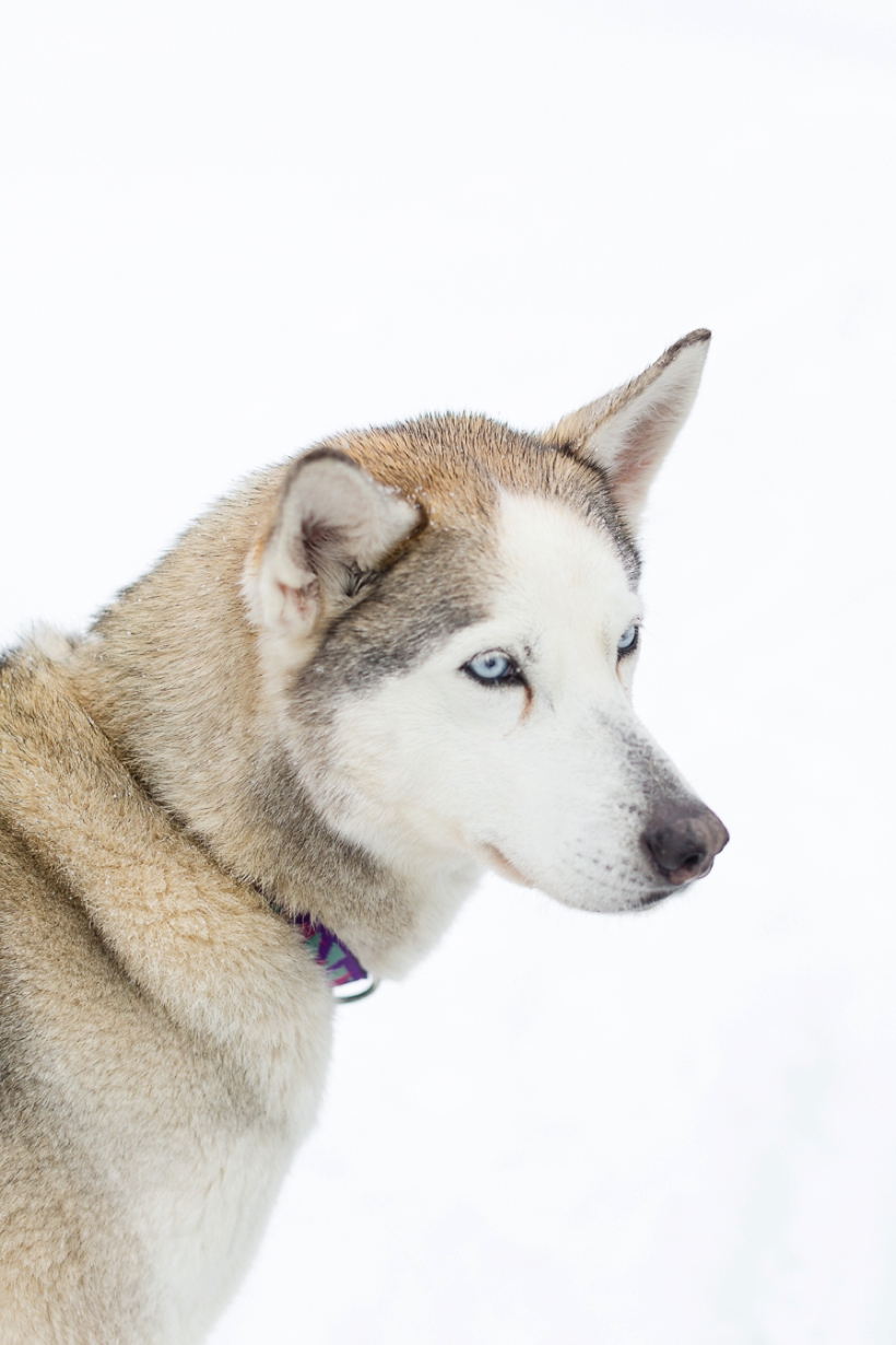 lisa-renault-photographe-montreal-seance-photo-de-couple-d-hiver-laurentides_0017.jpg