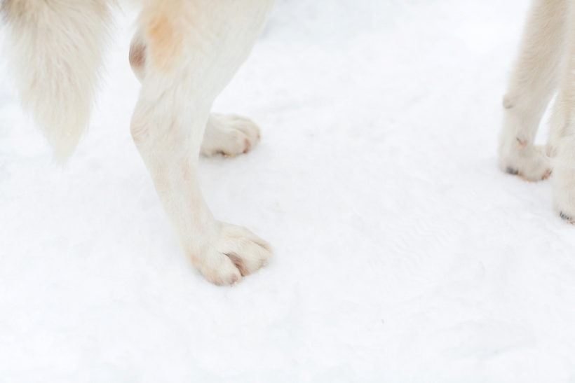 lisa-renault-photographe-montreal-seance-photo-de-couple-d-hiver-laurentides_0018.jpg