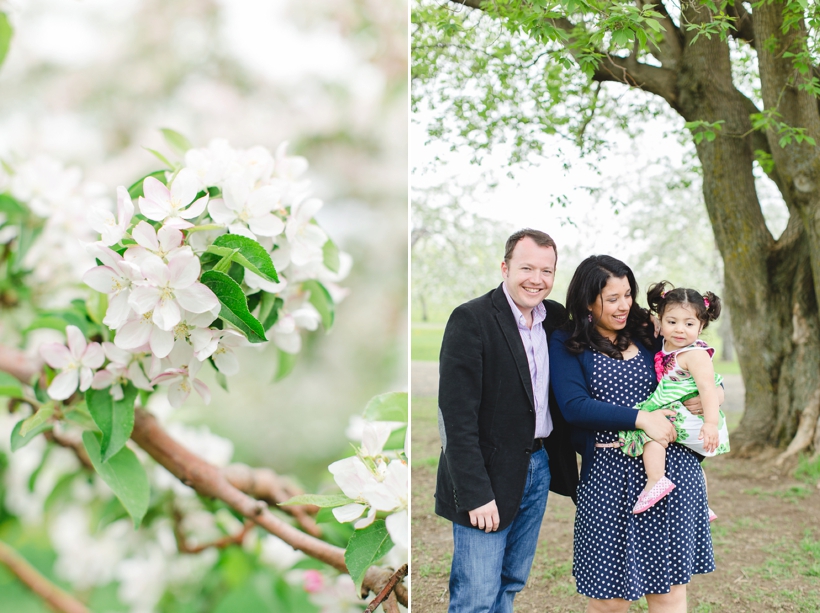 seance-photo-de-famille-verger-oka-lisa-renault-photographie-photographe-montreal_0022.jpg