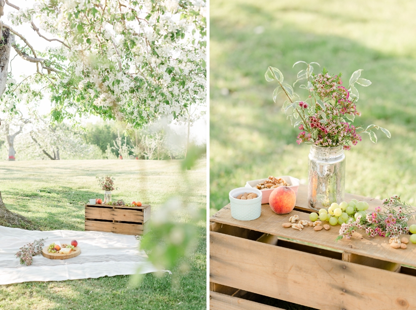 a-proposal-in-a-blossoming-orchard-inspiration-shoot-lisa-renault-photographie-montreal-photographer_0020.jpg