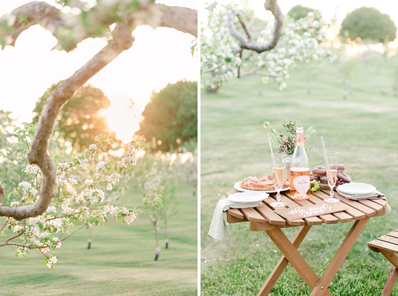 a-proposal-in-a-blossoming-orchard-inspiration-shoot-lisa-renault-photographie-montreal-photographer_0043.jpg